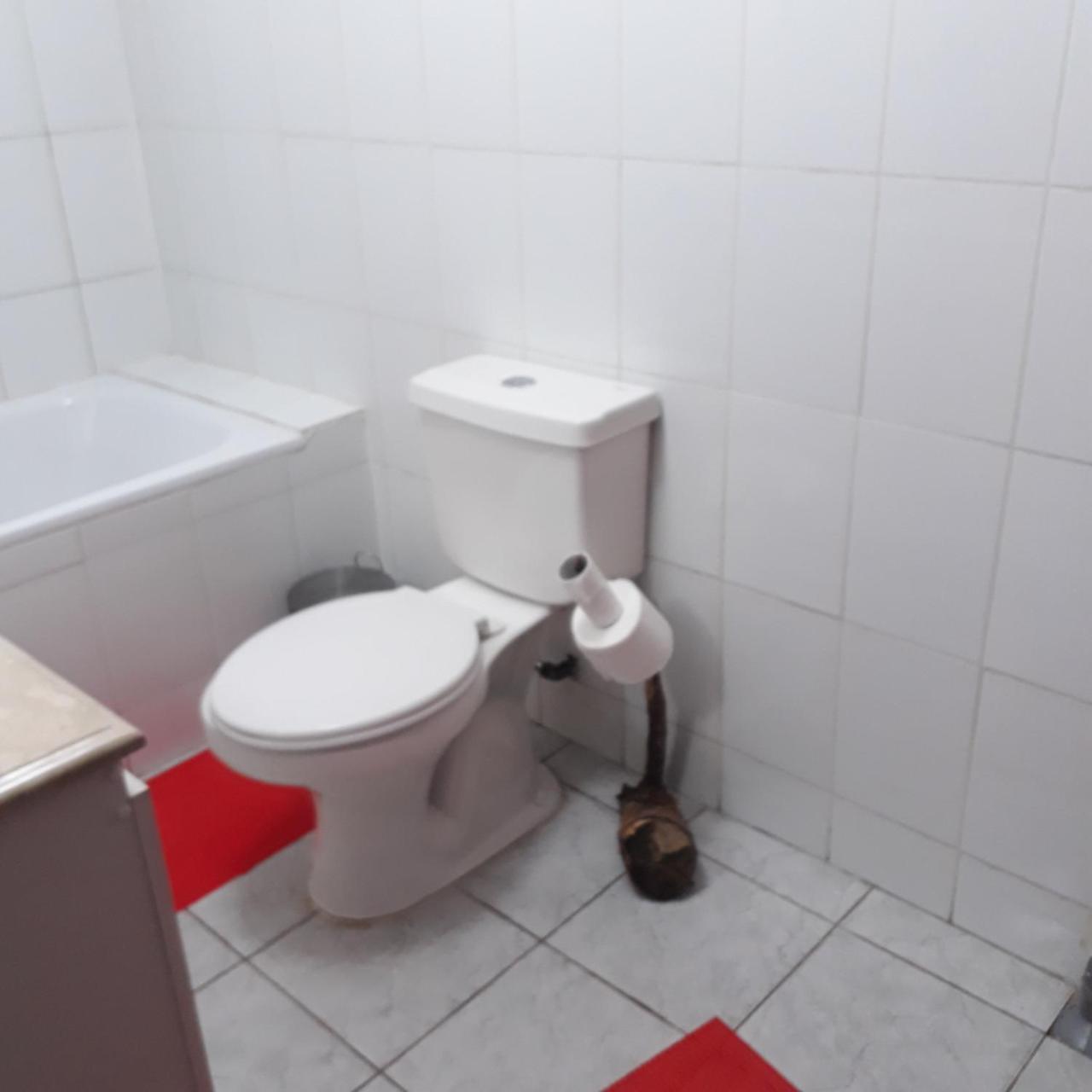 La Llar Hostel Panguipulli Eksteriør bilde