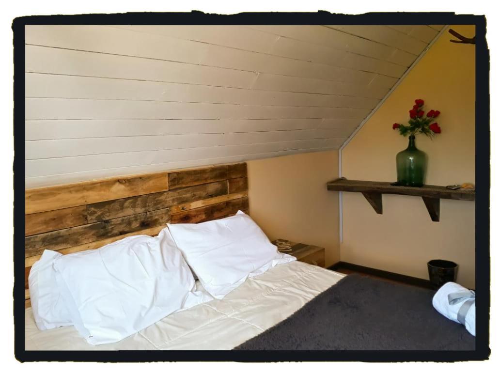 La Llar Hostel Panguipulli Eksteriør bilde